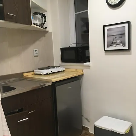 Apartment Vybavena Garsonka V Cihlovem Dome V Centru