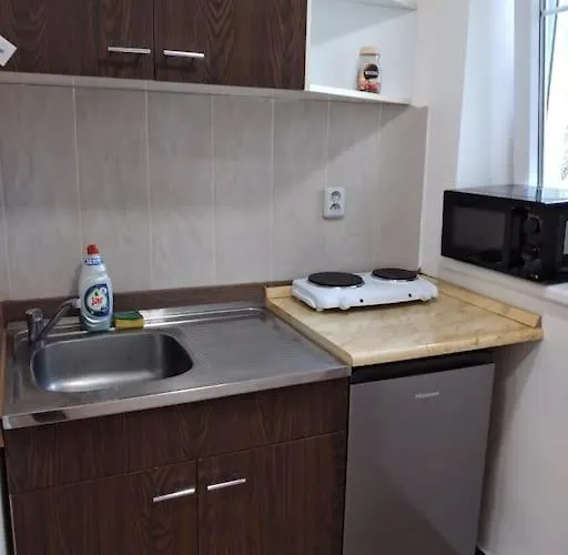 Vybavena Garsonka V Cihlovem Dome V Centru Apartmán *