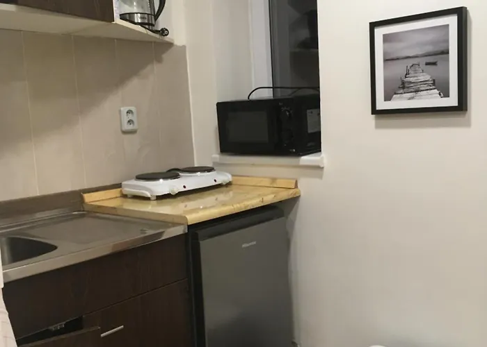 Apartmán Vybavena Garsonka V Cihlovem Dome V Centru